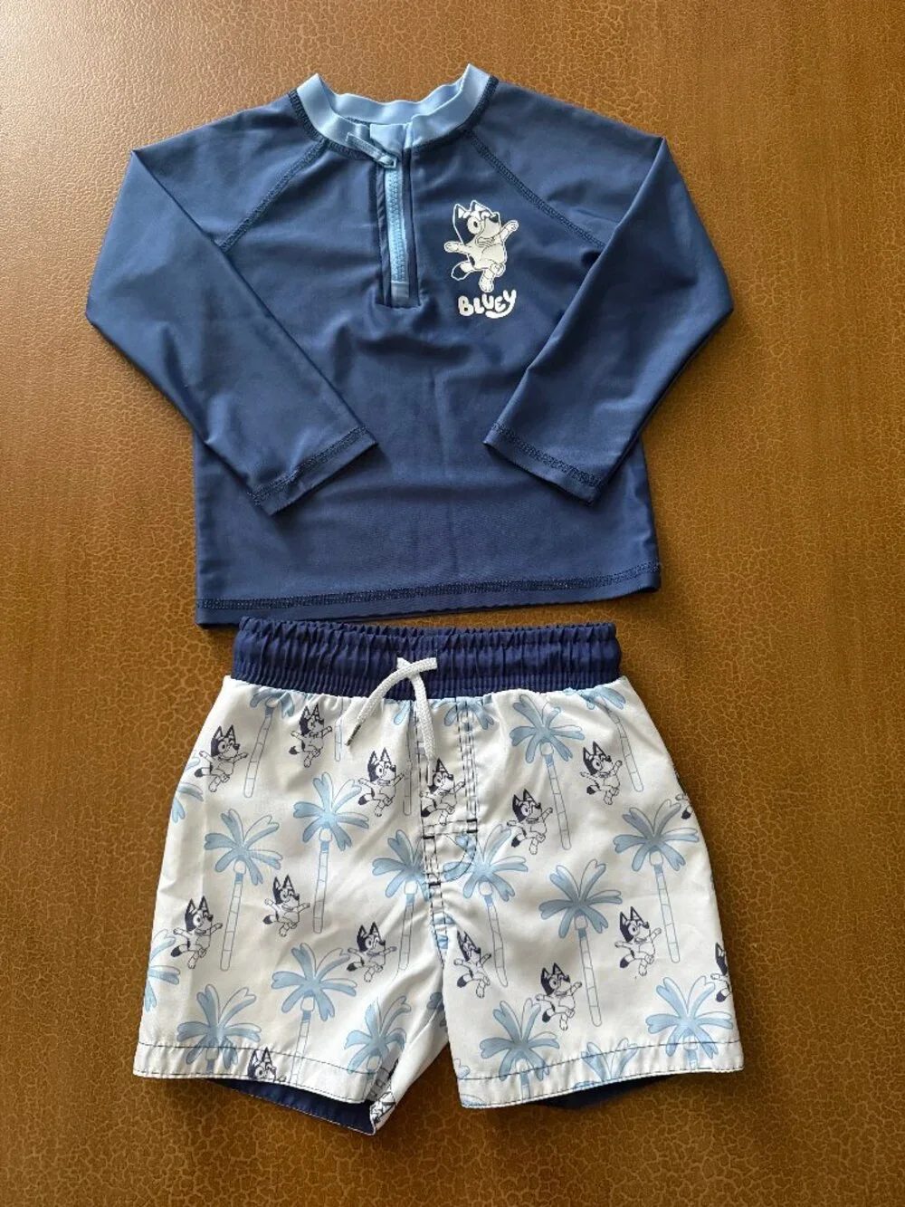 Bluey Swim Shorts and Long Sleeve Shirt - Size 2T